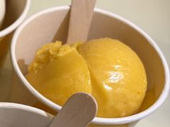 芒果百香果雪葩-LUNEURS月乐诗 La Glace(环贸店)