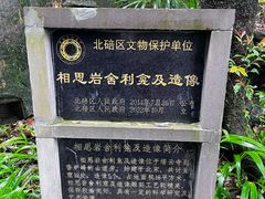 -缙云山景区