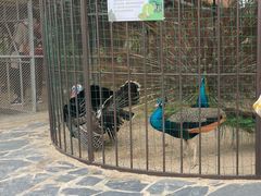 -珠海海泉湾神秘岛亲子乐园