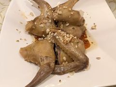 -百利鸽王(紫薇路店)