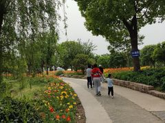 -鹅湖玫瑰文化园