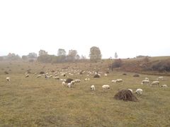 -塞罕坝国家级自然保护区