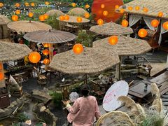 -伴山茶苑·一盏冰茶·半日山居