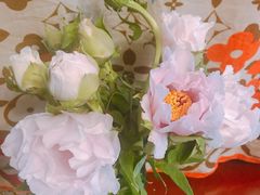 -双季花艺园艺市场(浦东店)