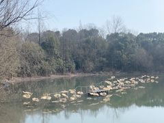 -上海吴淞炮台湾国家湿地公园