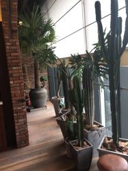 -THE BARN大屋理发馆