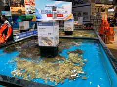 水产区-盒马鲜生(皇庭广场店)