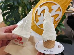 -野人先生Gelato(上海长宁龙之梦店)