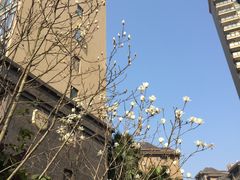 -松子料理(白家庄店)