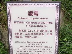 -梅园
