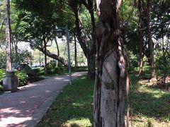 -王借岗森林公园