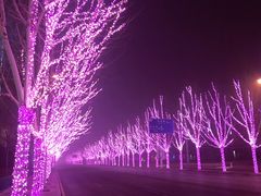 -廊坊固安福朋喜来登酒店