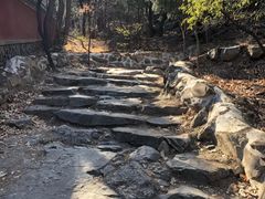 -阳台山自然风景区