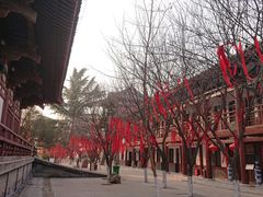 -西安青龙寺遗址景区