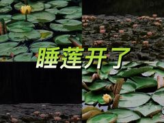 -茅家埠