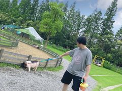 -上海长兴岛郊野公园