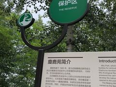 -北京麋鹿生态实验中心