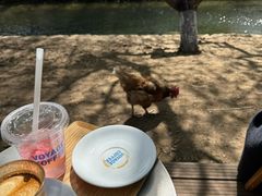 -春风习习