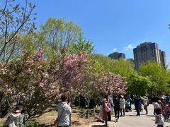 -长白岛森林公园