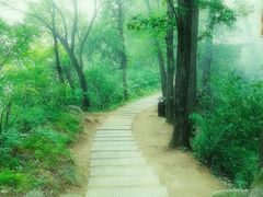 -少华山国家森林公园