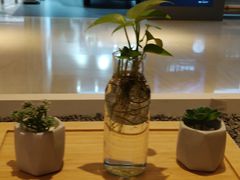 -炖物24章·顺时轻养茶(黄龙店)