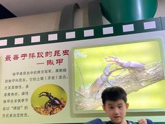 -上海昆虫博物馆