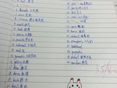 -新航道雅思托福·留学·考研培训(人民广场校区)