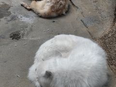 -西安曲江海洋极地公园