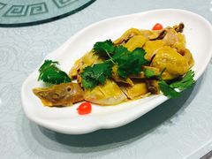 -金米箩大酒店(五角场店)