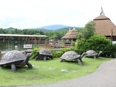 -清迈夜间动物园