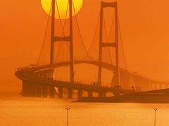 -宝安西湾红树林湿地公园