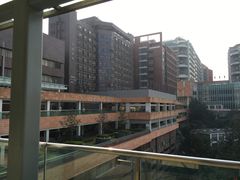 -香港大学