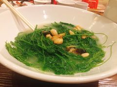 -顺德了能馆(虎门店)