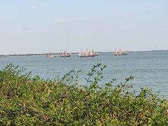 -贡湖湾湿地公园