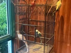 -申粤轩酒楼·三十年粤菜经典(丁香花园店)