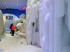 -宁波冰雪大世界(北仑区)