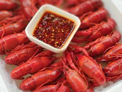 -不炭白烧烤(成都首店)