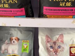 -宠颐生宠物医院外科·内科·皮肤科·影像科(石龙店)