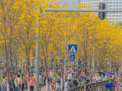 -洲头咀公园