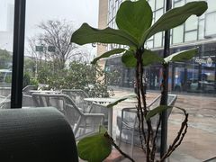 -Wagas沃歌斯(合生汇店)