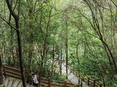 -广州白江湖森林公园