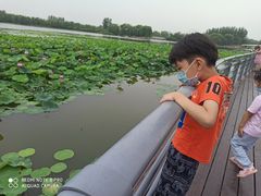 -大兴滨河森林公园