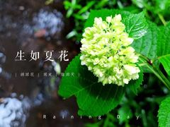 -虎跑公园