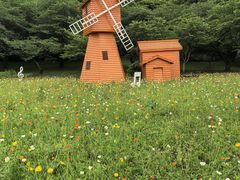 -苏州上方山国家森林公园