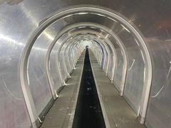 -中旅松花湖滑雪场