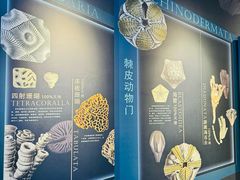 -贵州省地质博物馆