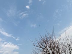 -永青泉汗蒸广场(大运河博物馆店)