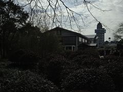 -九曲溪竹筏码头