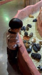 点击看大图 -Zoolung Zoolung动物主题公园(海信广场店)