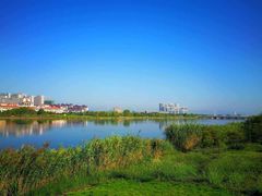 -芜湖新华联大白鲸海洋公园